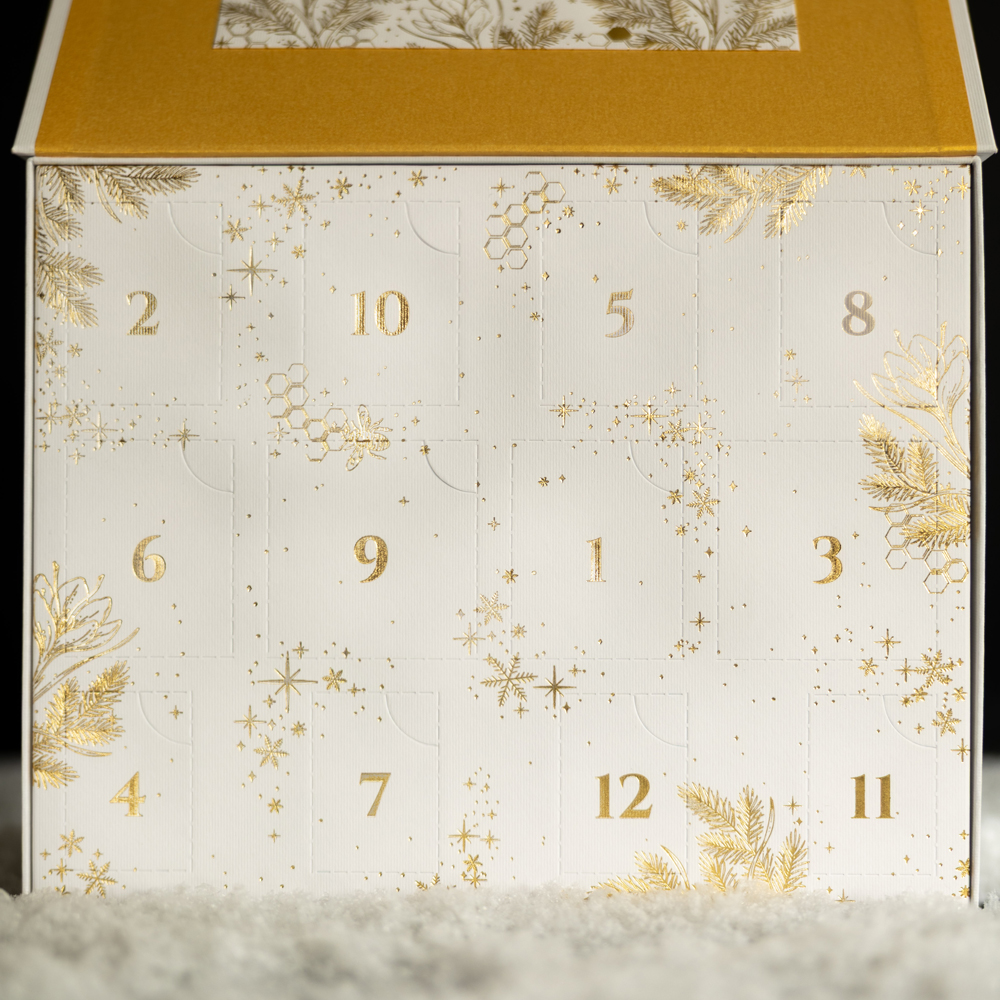 12 Days of Magic